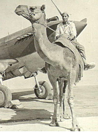 Mann auf einem Kamel vor einem Flugzeug / A man on a camel in front of an airplane