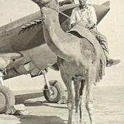 Mann auf einem Kamel vor einem Flugzeug / A man on a camel in front of an airplane