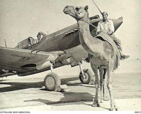 Ein Mann auf einem Kamel vor einem Flugzeug
