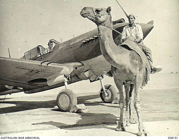 Ein Mann auf einem Kamel vor einem Flugzeug / A man on a camel in front of an airplane