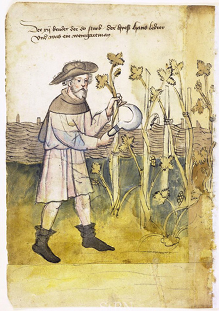 Farbige Zeichnung eines Mannes bei der Arbeit mit einer Sichel an Weinreben