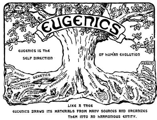 Logo der zweiten Internationalen Eugenik-Konferenz, 1921 in New York: „Eugenics is the Self Direction of Human Evolution“. Quelle: [https://commons.wikimedia.org/wiki/File:Eugenics_congress_logo.png Wikimedia Commons], Lizenz: public domain